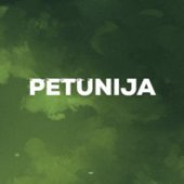Petunija