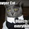 Advokāts Kaķis